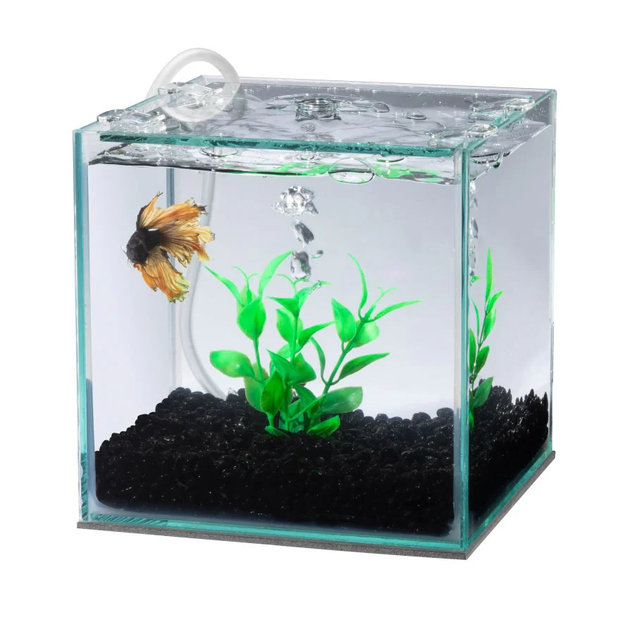 Aqueon Betta Filter Plant - Image 2