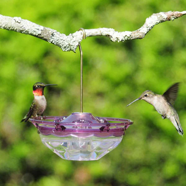 Aspects Hummingbird Feeder Blossom 4 OZ
