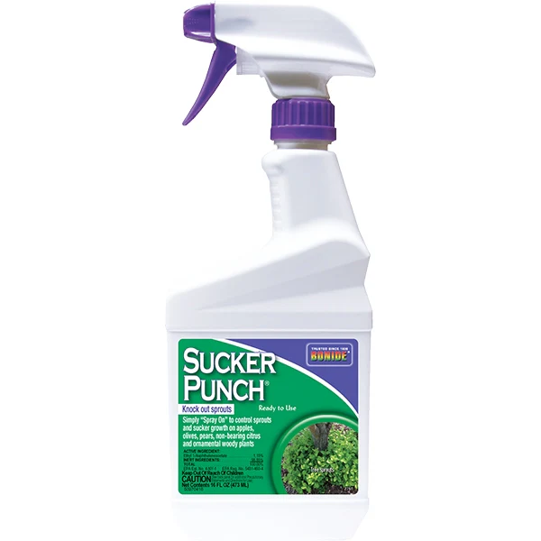 Bonide Sucker Punch Ready to Use 16 OZ