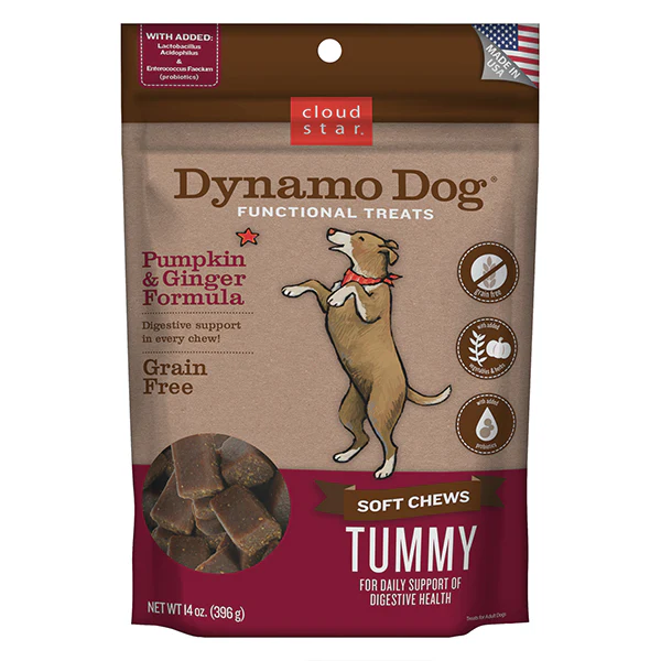 Cloudstar Dynamo Dog Functional Treats Pumpkin and Ginger 14 OZ
