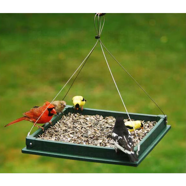 Songbird Essentials Hanging Platform Feeder LRG