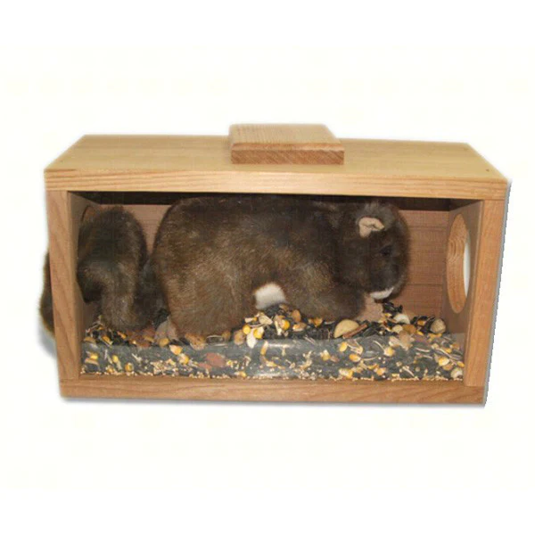 Songbird Essentials Munch N View Squirrel Feeder