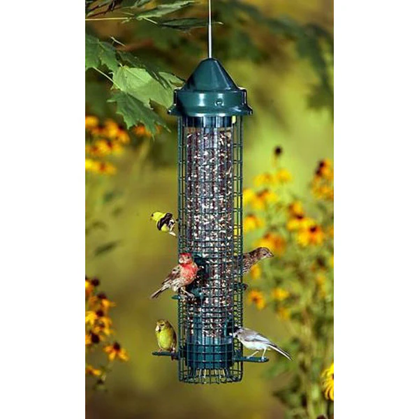 Squirrel Classic Buster Wild Birdfeeder