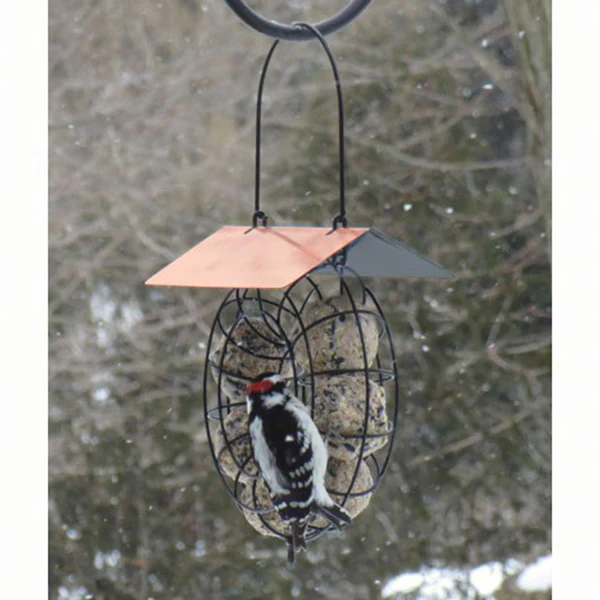 Suet & Seed Ball Feeder Copper