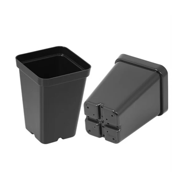 SunPack Square Pot Black 2.5 IN