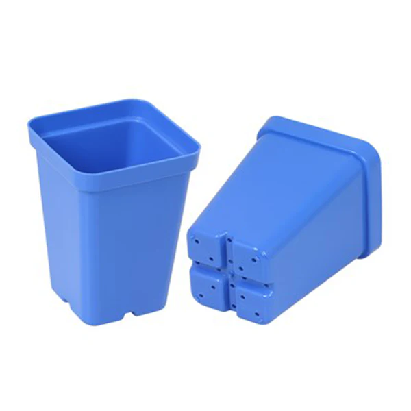SunPack Square Pot Blue 2.5 IN