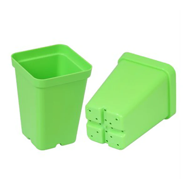 SunPack Square Pot Green 2.5 IN