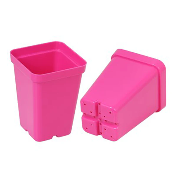 SunPack Square Pot Magenta 2.5 IN
