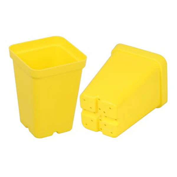 SunPack Square Pot Yellow 2.5 IN