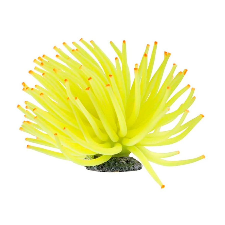 Tetra Glo Fish Anemone Yellow