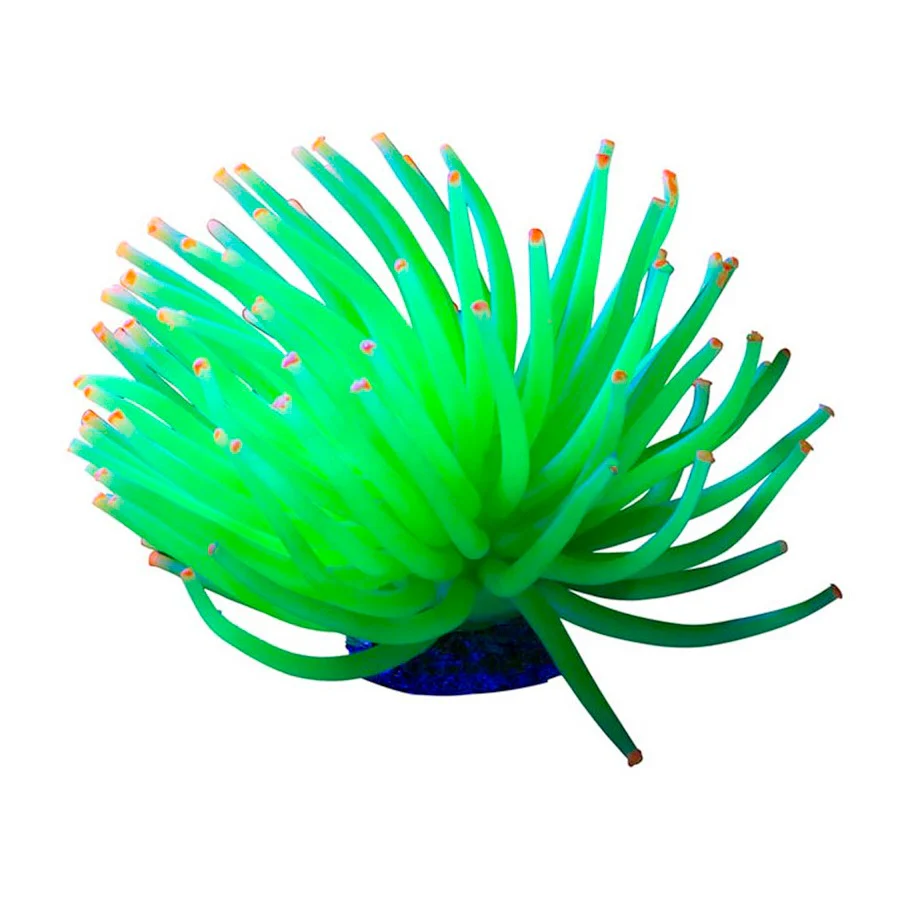 Tetra Glo Fish Anemone Yellow - Image 2