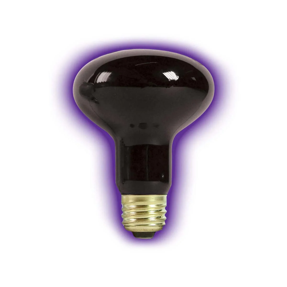 Zilla Spot Night Bulb Black 75 W - Image 2