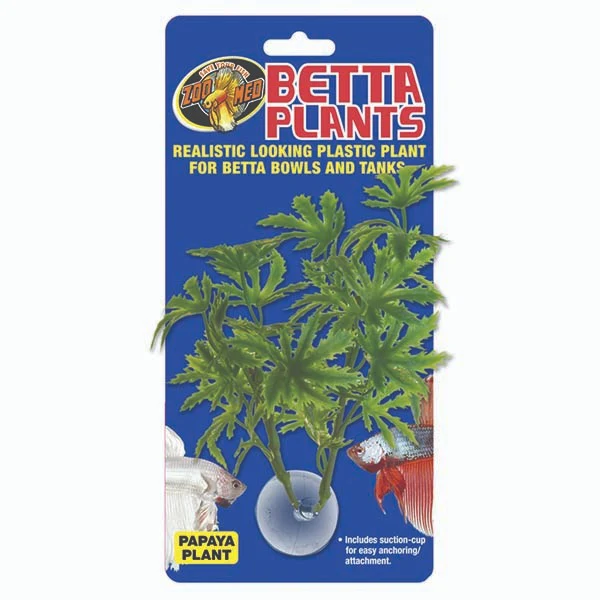 Zoo Med Betta Plant Papaya